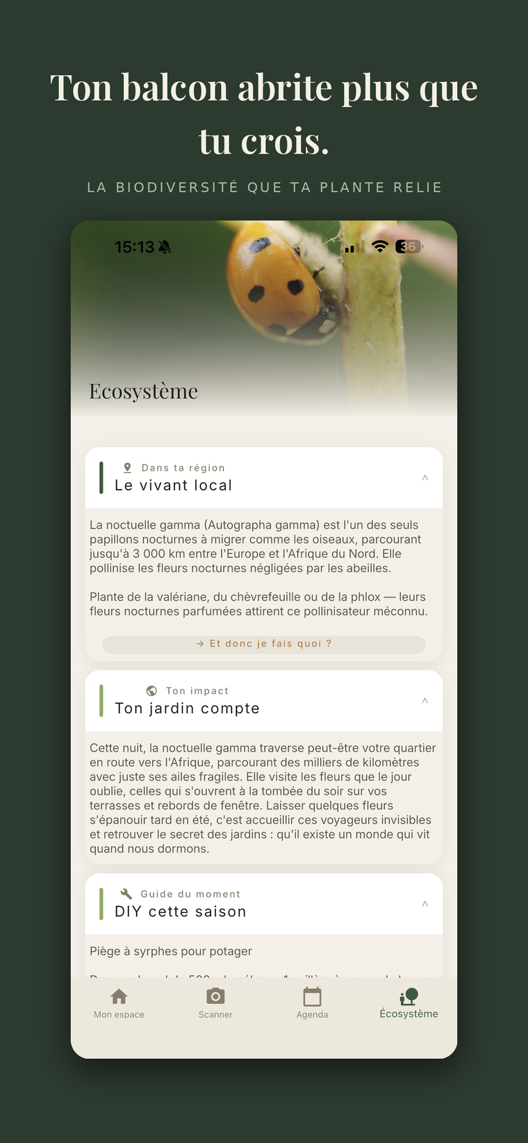 Écosystème : la biodiversité que ta plante relie